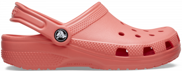 Neon Watermelon